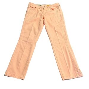 Pilcro and the Letterpress Anthropologie Skinny Mid Rise Crop Ankle Jeans 27